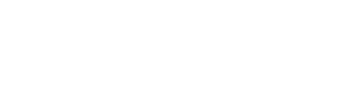 Common Rail Diesel Fuel System Specialists